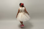 Tulle Star Dress