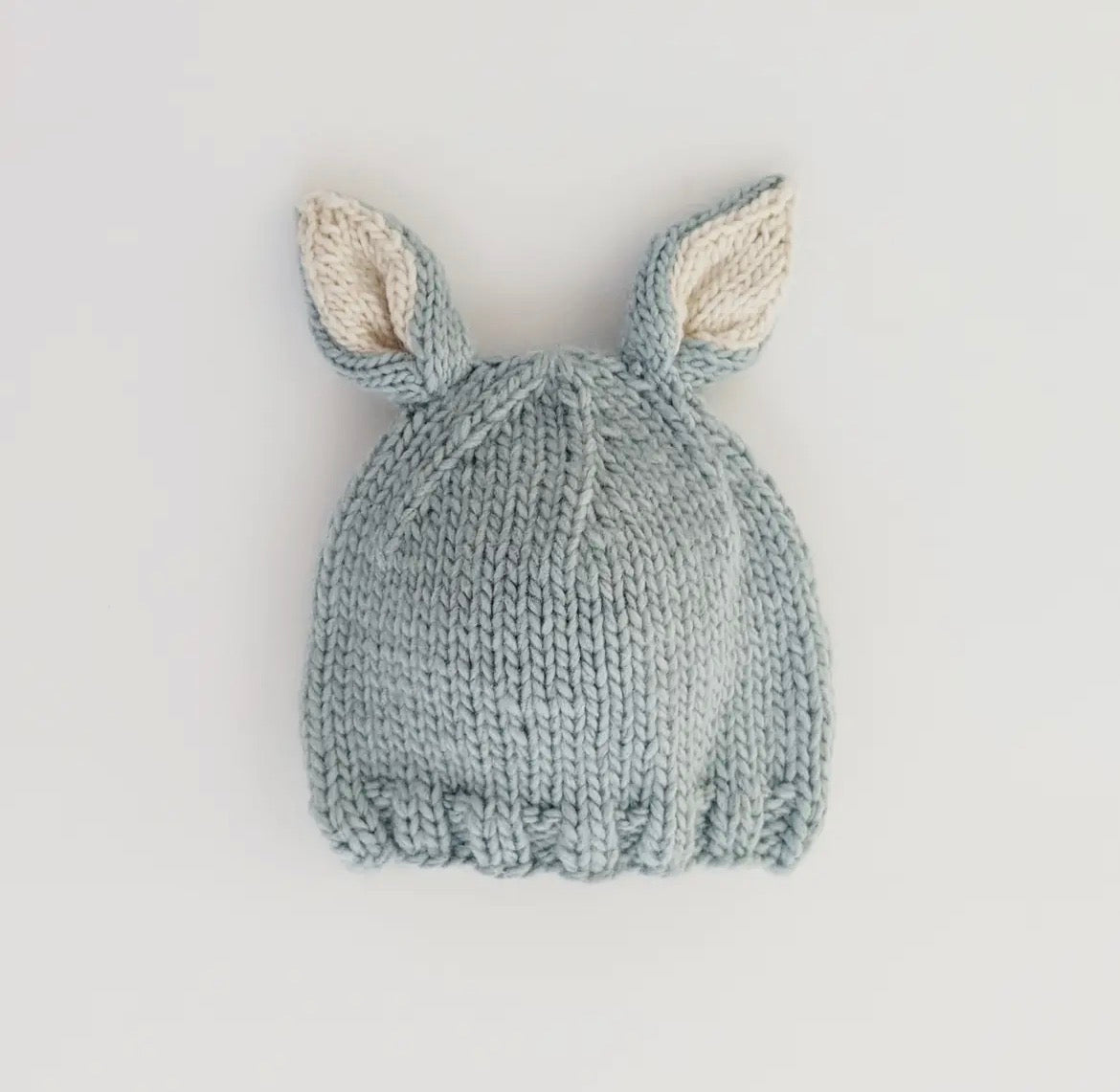 Blue Bunny Ears Beanie